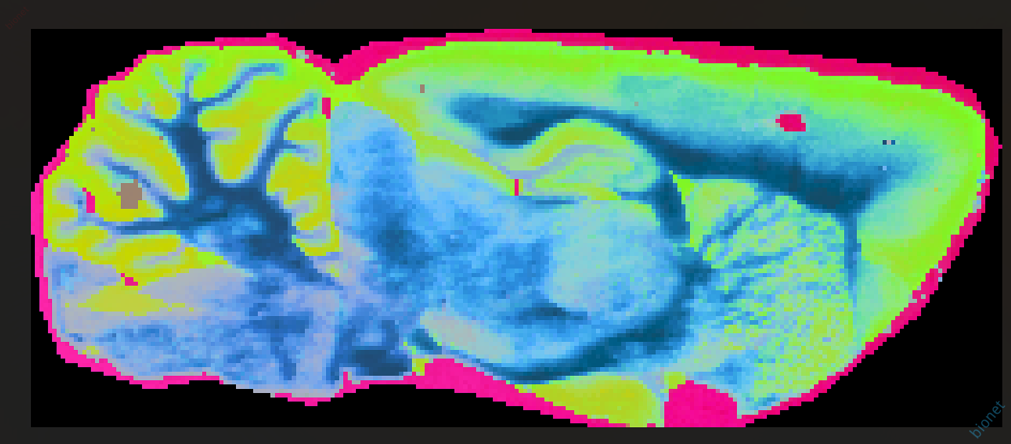 image-20260815174917455