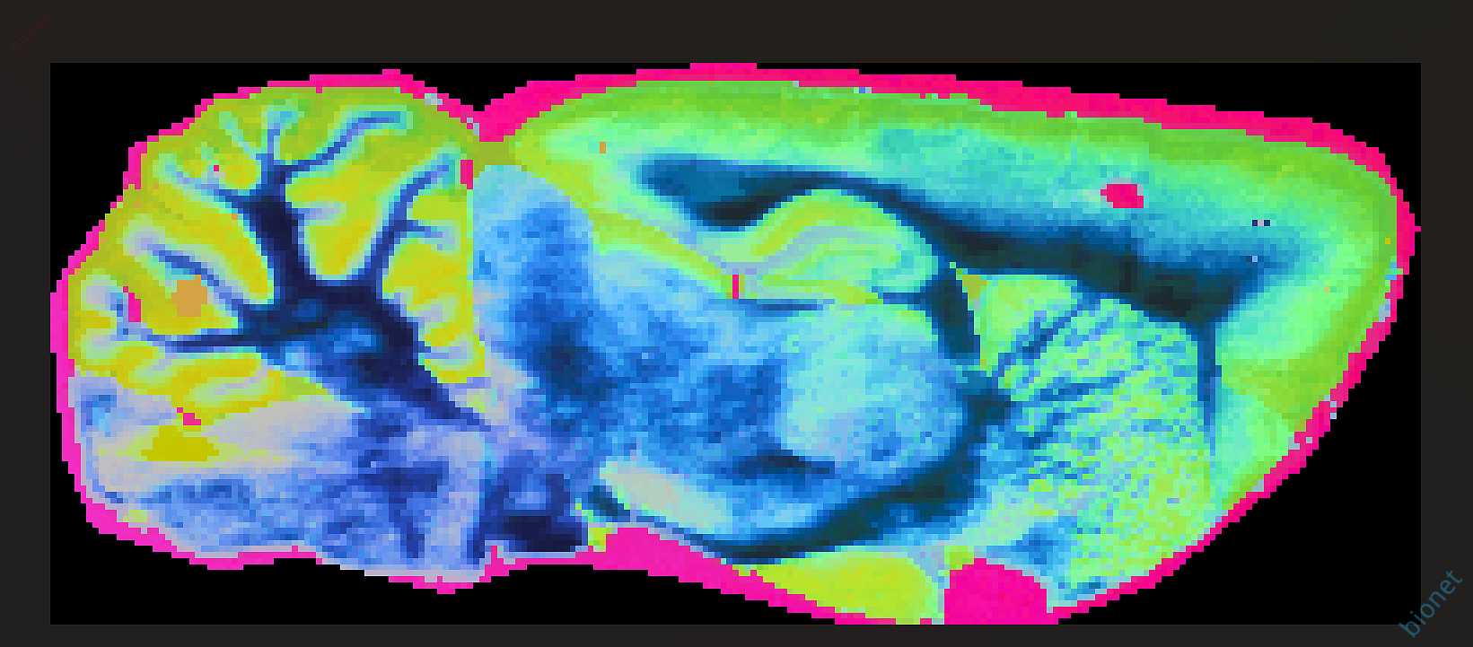 image-20260815211057250