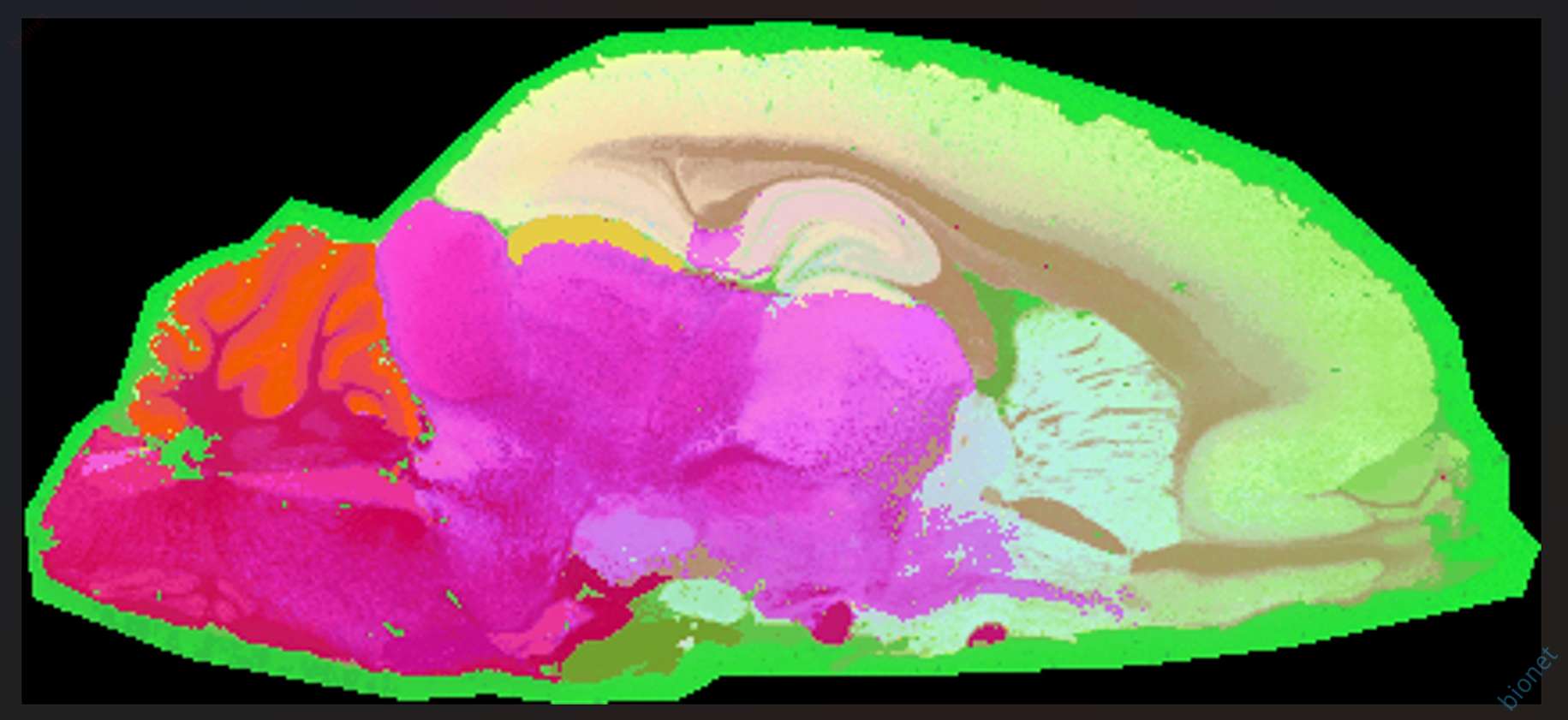 image-20260821215755050