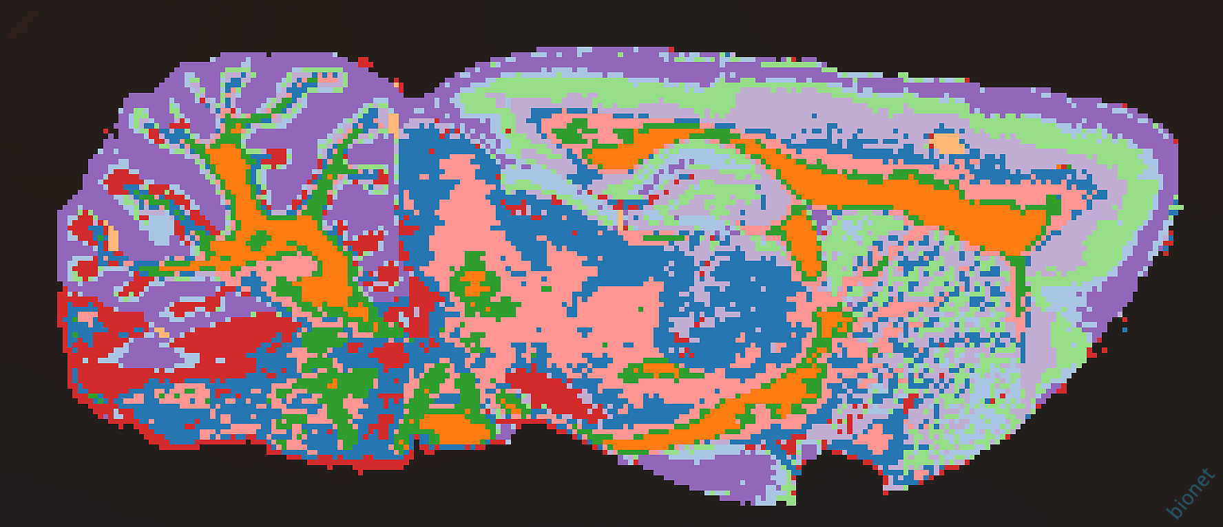Snipaste background_2026-08-09_22-24-41